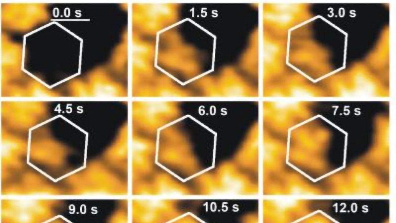 Details of Virus Reproduction Revealed by Physics