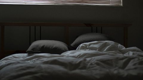 How the Brain Paralyzes the Body During Dreaming