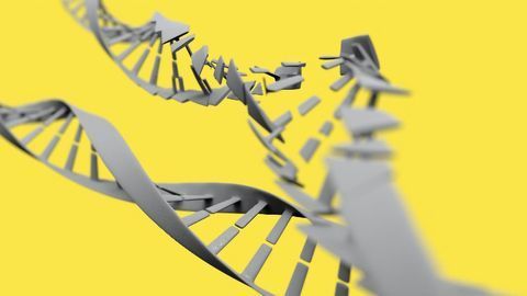 One Step Closer to CRISPR-Cas9 Cancer Therapies