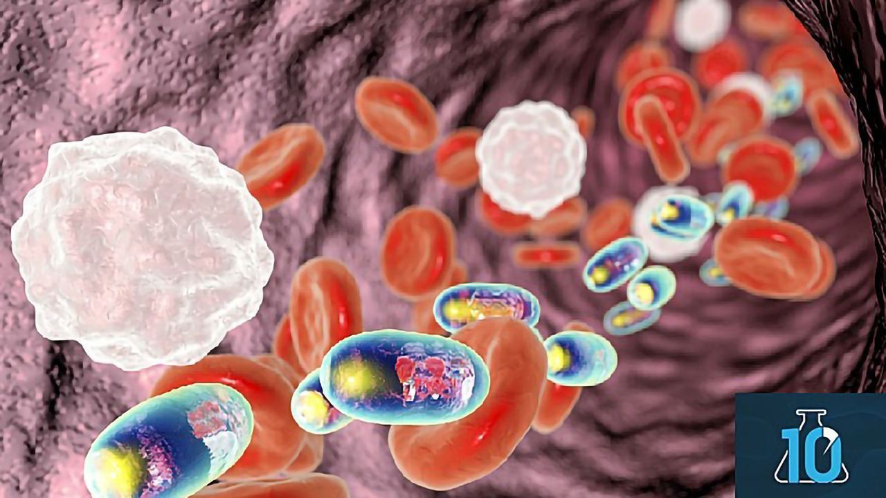 Teach Me in 10 – Materials for Drug Delivery With Professor Robert Langer