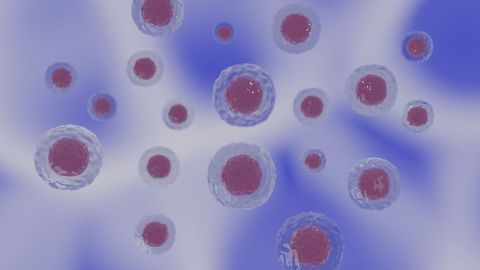 Biochemical Pathway Discovered That Protects Cells From Ferroptosis