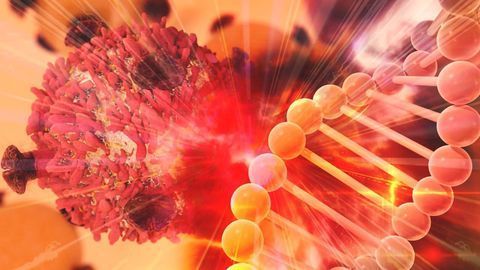Targeting the Circadian Rhythm Regulator CRY-1 in Prostate Cancer