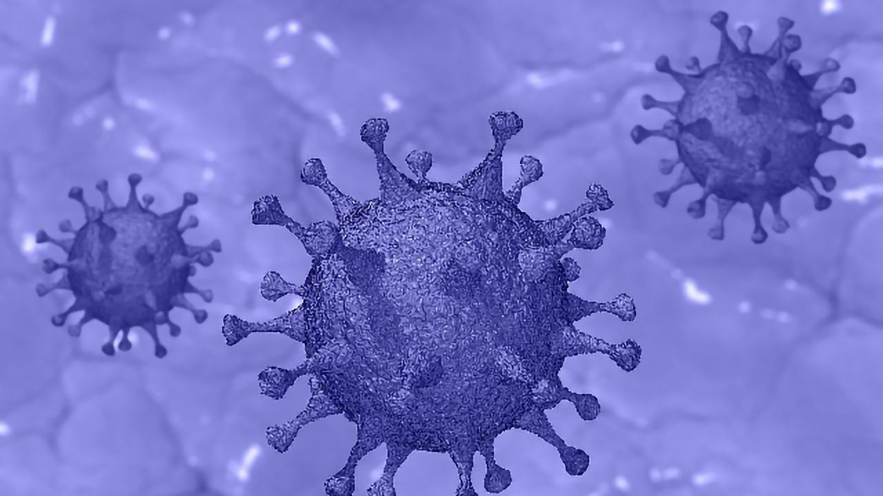 New Test Can Detect COVID-19 Antibodies Rapidly and Accurately