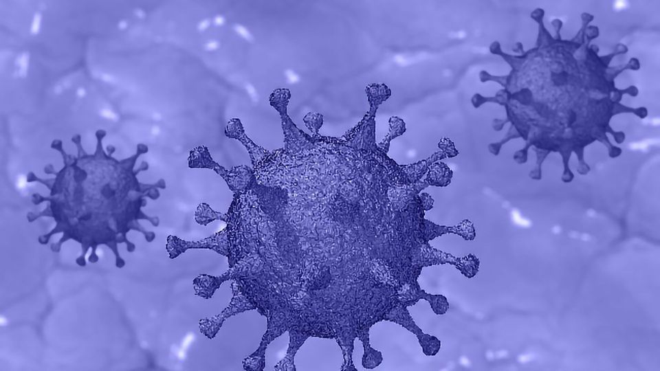 New Test Can Detect COVID-19 Antibodies Rapidly and Accurately content piece image