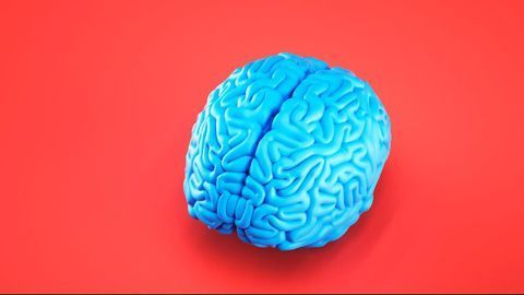 Jekyll and Hyde Immune Cells Help and Hinder Brain Repair