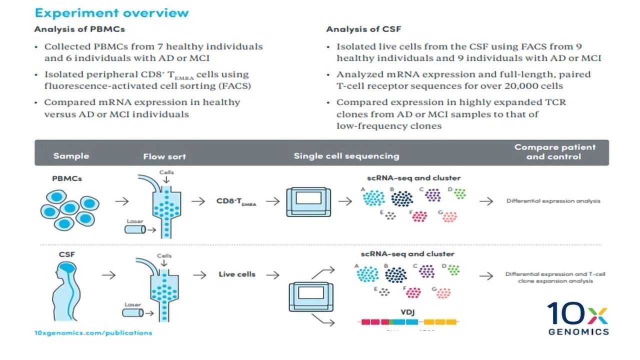 Illuminating the Role of the Adaptive Immune Response in Neurodegeneration