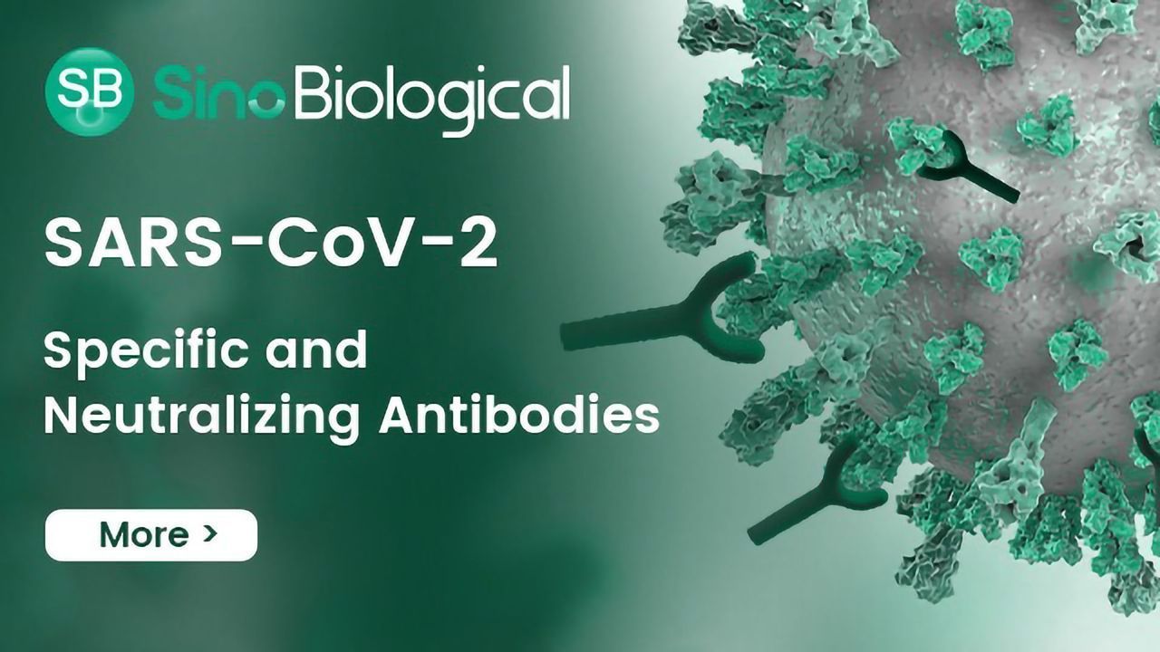 SARS-CoV-2 Specific and Neutralizing Antibodies