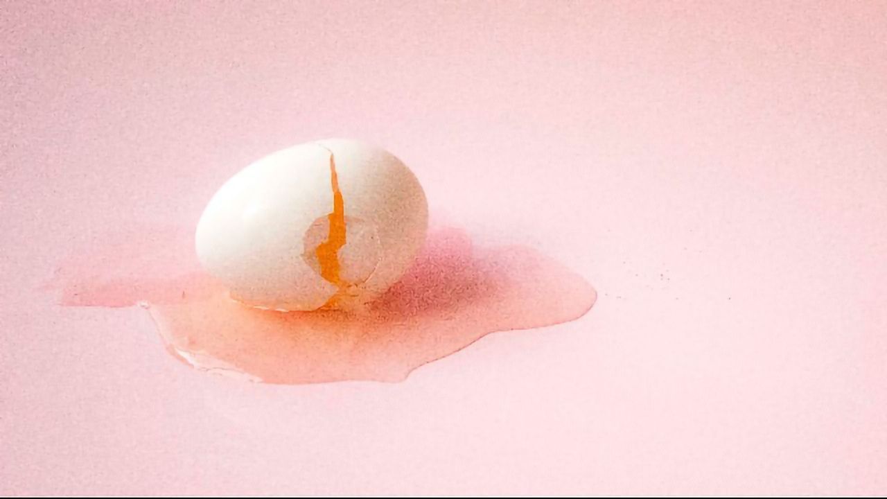 Unscrambling Egg Physics Shows How To Protect the Brain Better