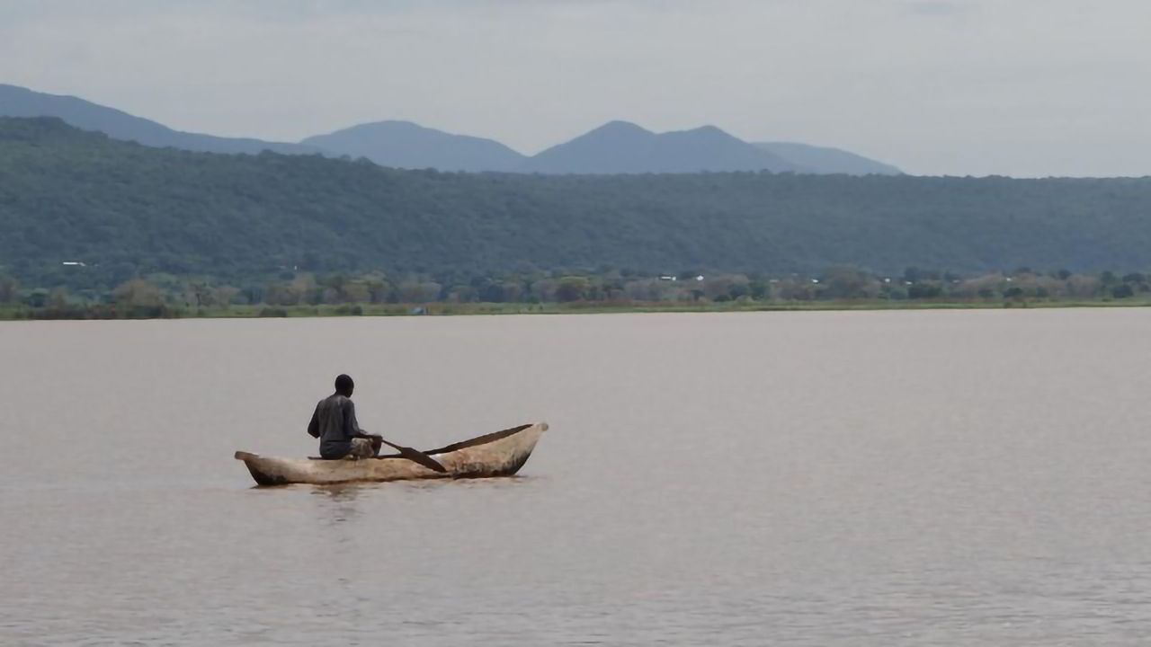 “Rewiring” at Non-Coding Genome Regions Important for Adaptation