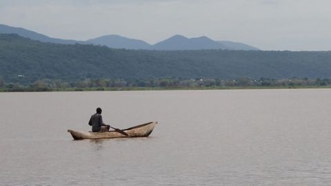 “Rewiring” at Non-Coding Genome Regions Important for Adaptation