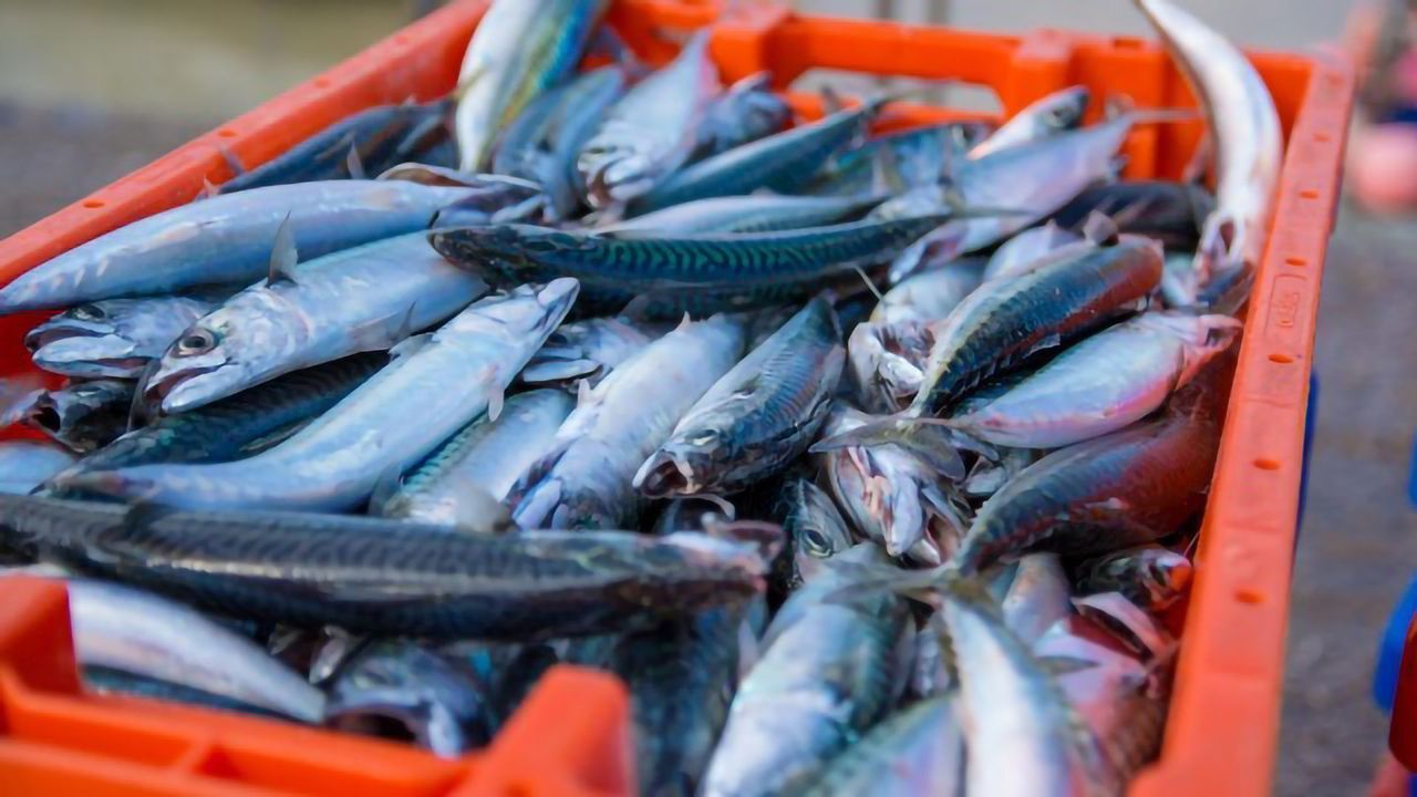 Quantitative Food Safety Method Fishes Out the Dangers