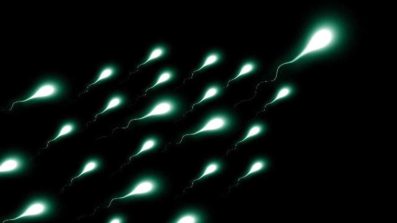 How To Find Mutated Sperm? Just Go FISH