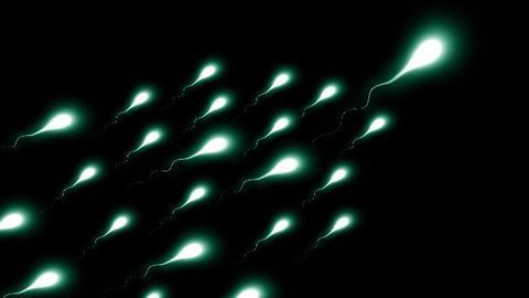 How To Find Mutated Sperm? Just Go FISH