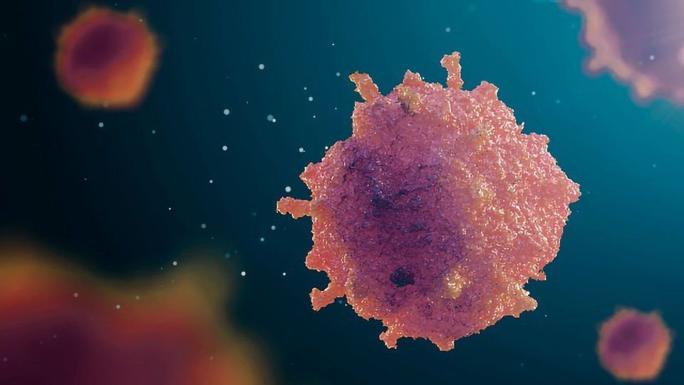 DNA Therapeutic Treats Multiple Myeloma in Mice content piece image
