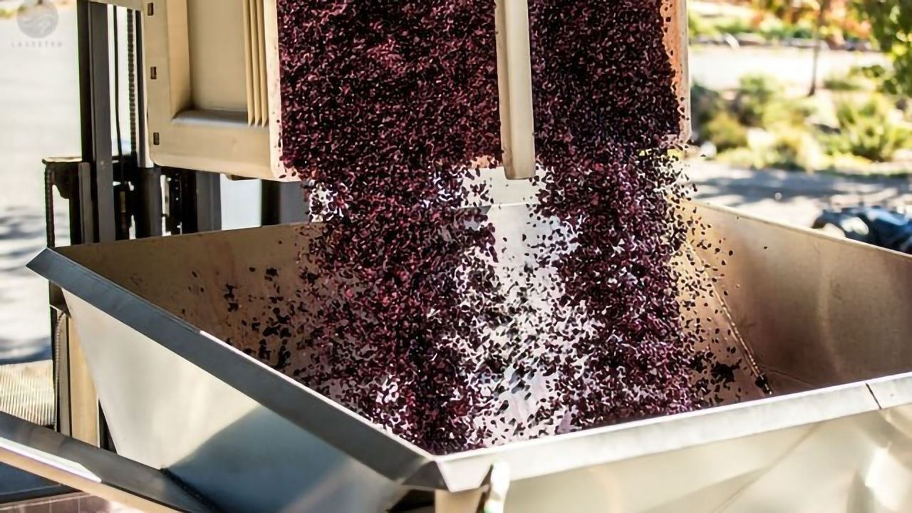 Sustainable Food Science: Converting Food Waste Into Useful Products