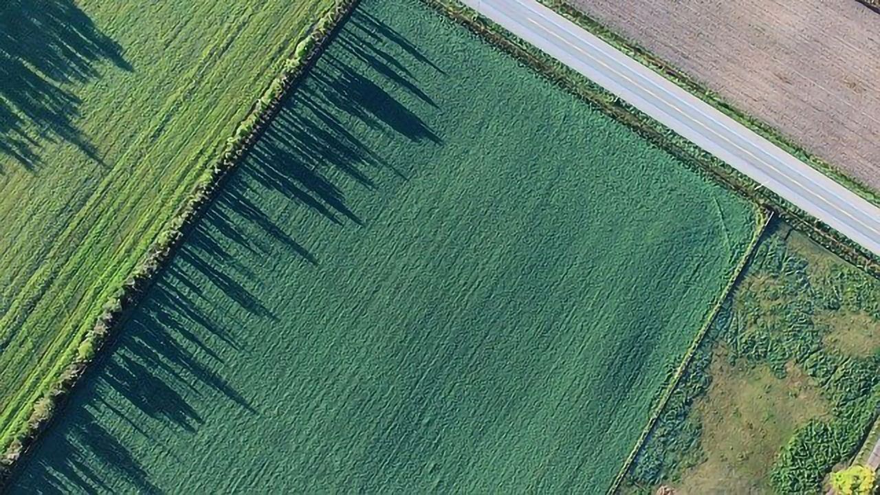 Biofuel Production Could Make Use of Abandoned Cropland