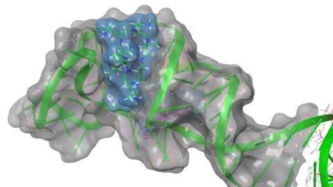 Potential Target for Anti-Viral Drugs To Treat COVID-19