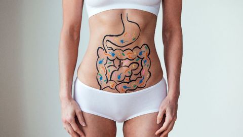 Gut Fungi Not Linked to Parkinson's Disease