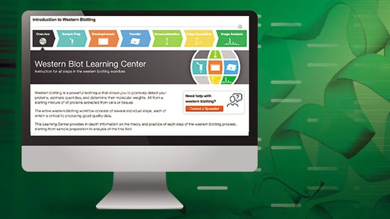 Bio-Rad Launches Its Western Blot Learning Center