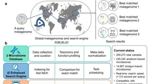 Microbiome Search Engine 2 Aids Microbiome Exploration