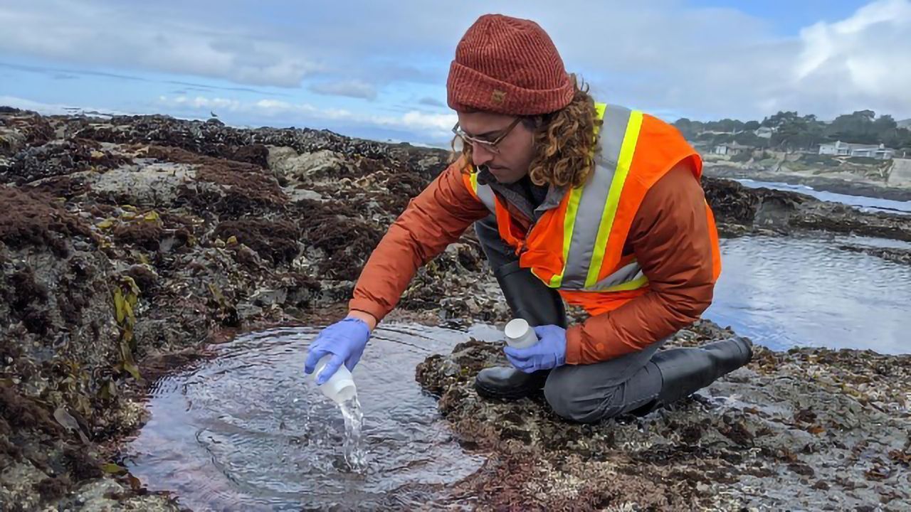 Improving Coastal Water Quality Forecasting