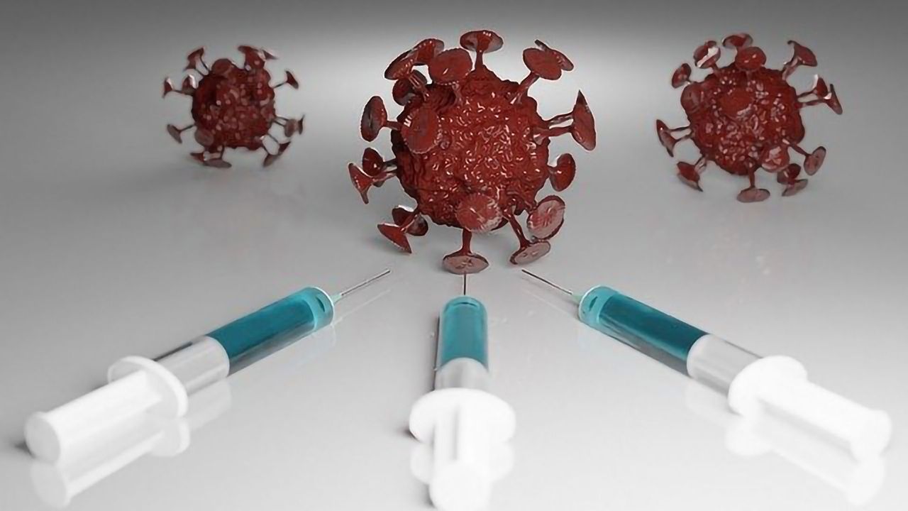 Promising Immune Response to SARS-CoV-2 Developed by Rhesus Macaques
