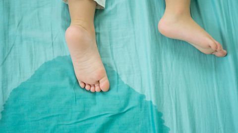 Large-Scale Study Identifies Genes That Increase the Risk of Bedwetting