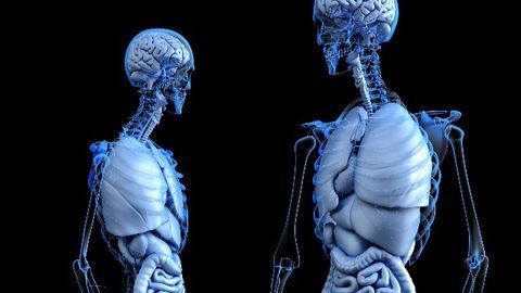 Scientists Use Novel Ink To 3D-Print Bone-Mimicking Structures