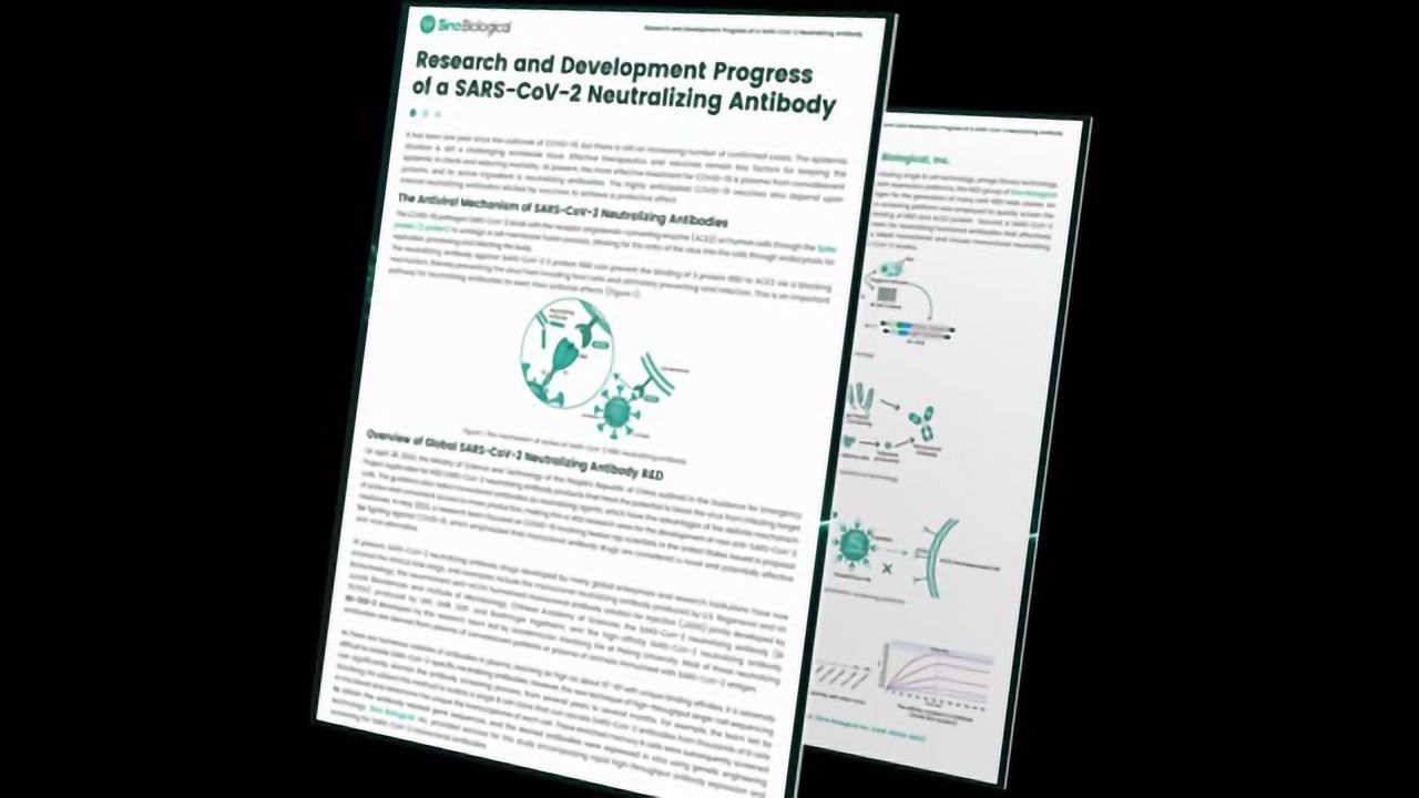 SARS-CoV-2 Neutralizing Antibody Research and Development