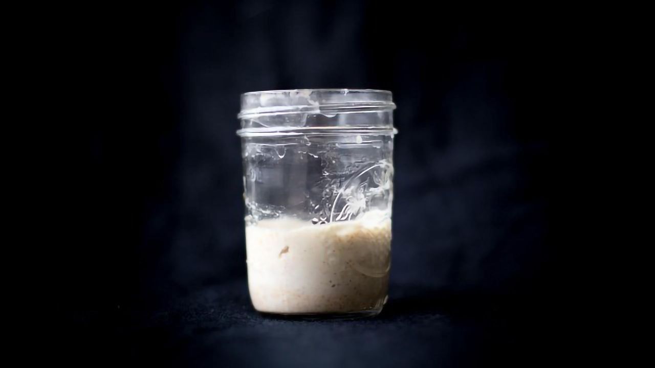 Exploring the Microbial Life of Sourdough