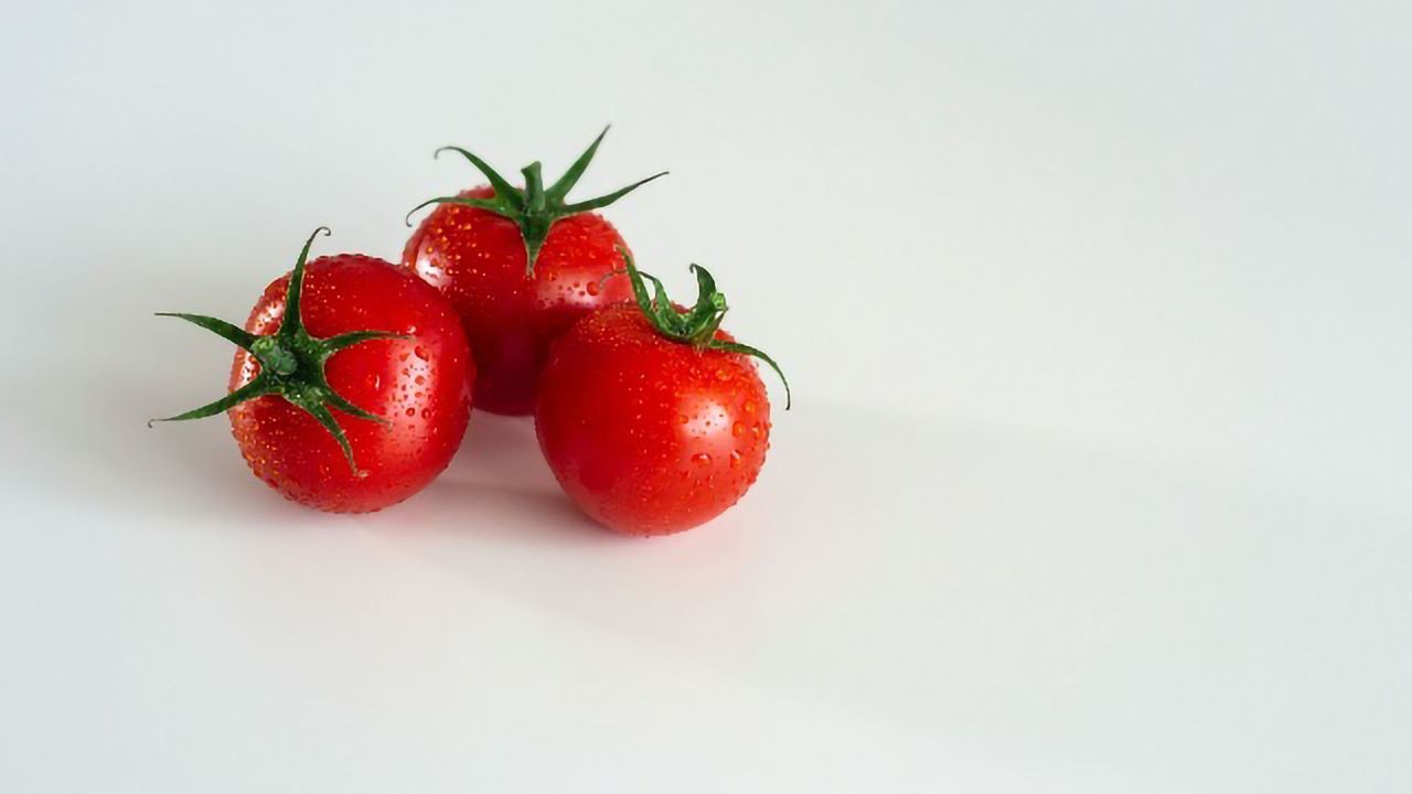 Genome Established for Two Wild Ancestors of the Tomato