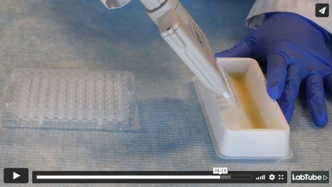 FAQ: Tips & Tricks for Working With Plateable Hepatocytes