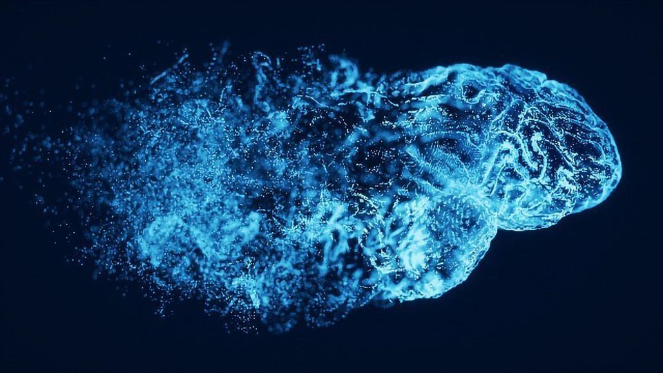 Fluid-Filled Spaces in the Brain Tied to Dementia Risk content piece image