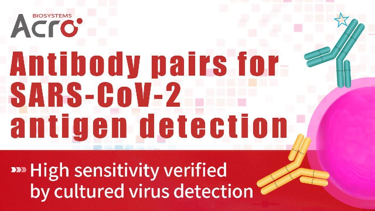 Antibody Pairs: High Sensitivity Verified by Cultured Virus Detection