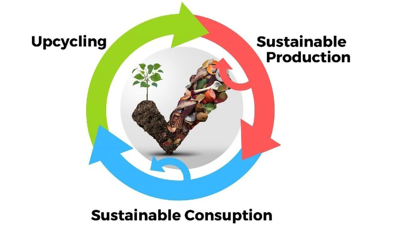Food Waste Turned Back Into Food