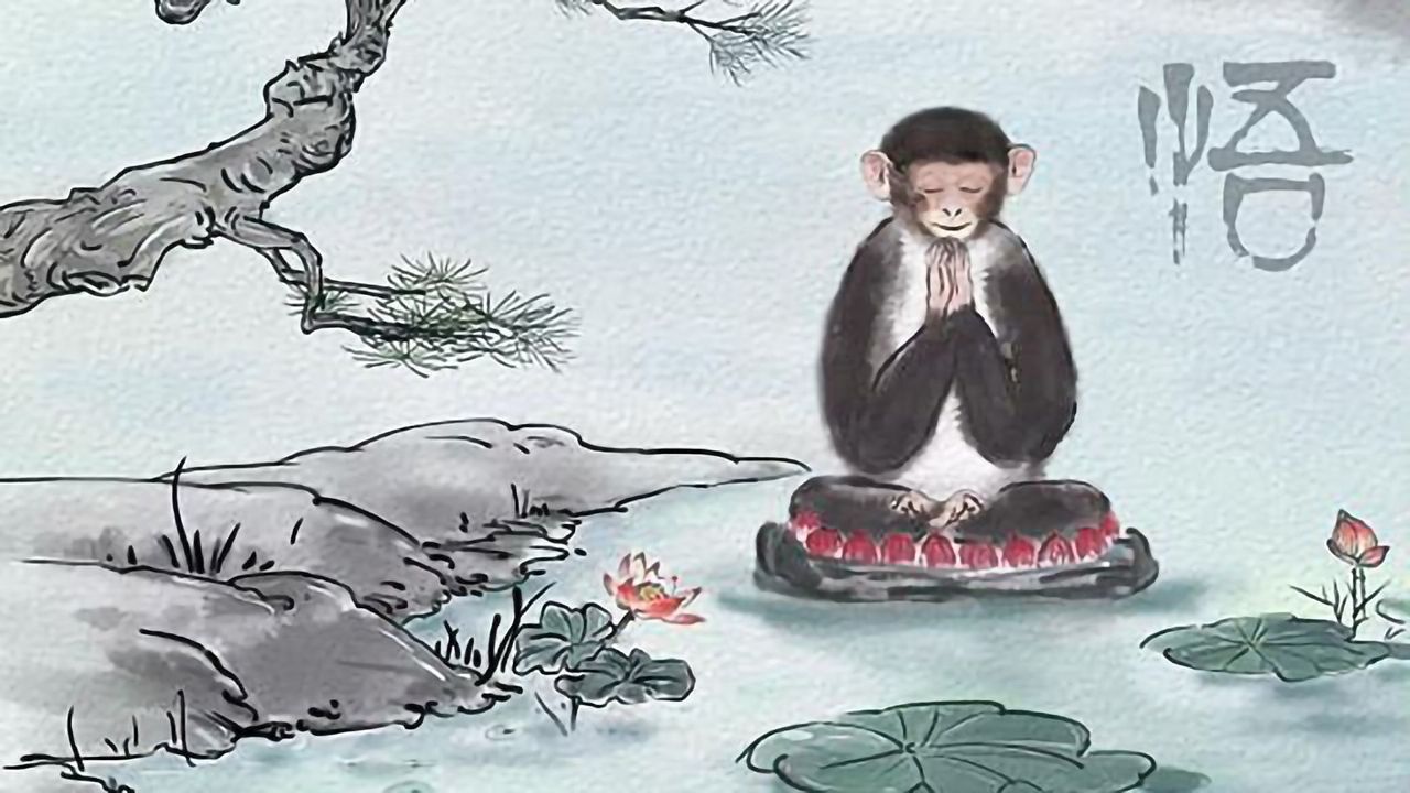 3D Genome of the Primate Brain in High Resolution