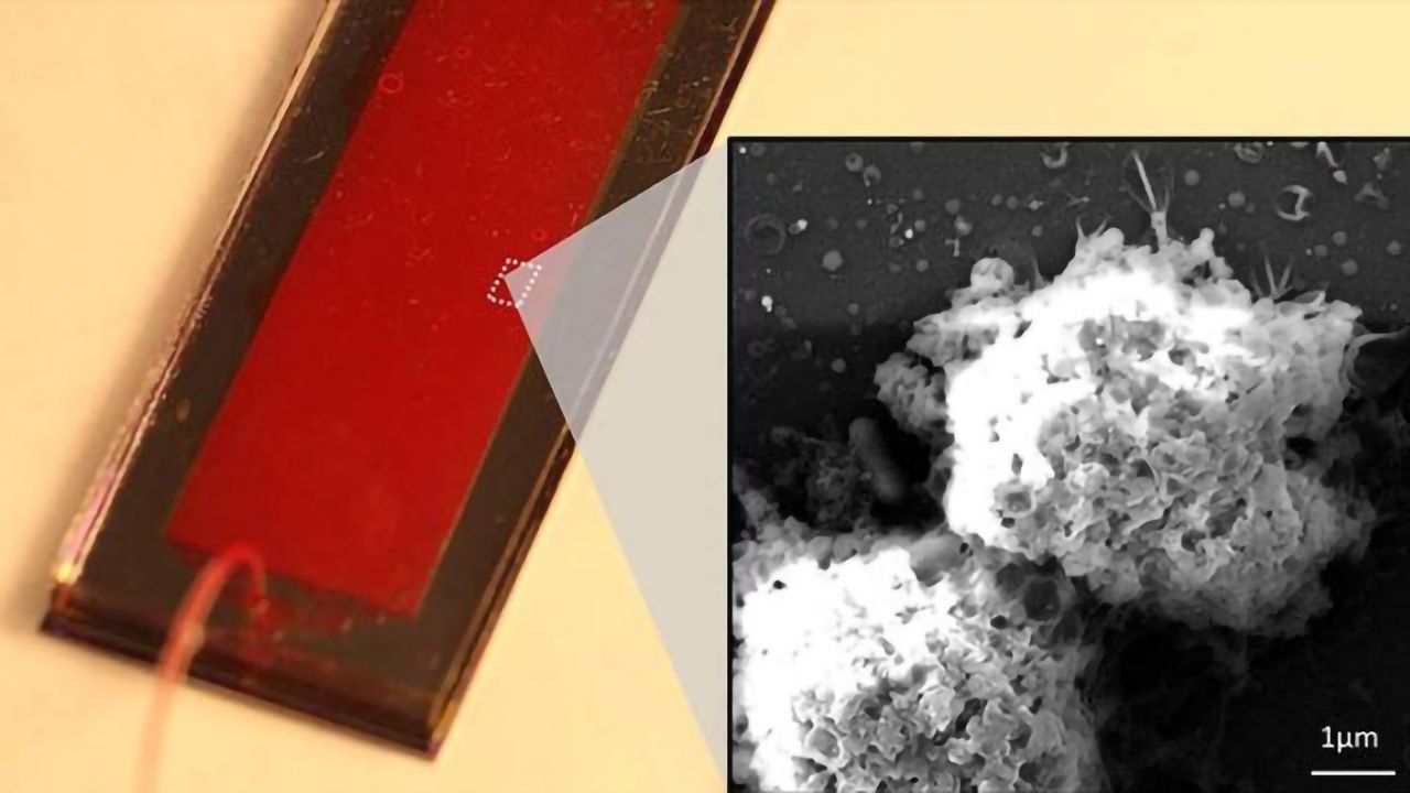Team Harvests Cancer-Killing Exosomes From Natural Killer Cells