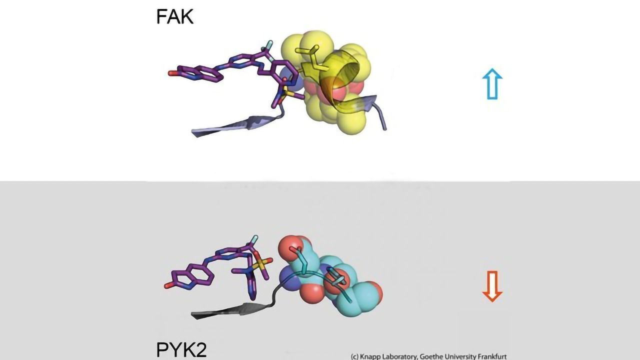 Optimizing Interactions Between Active Substances and Target Proteins