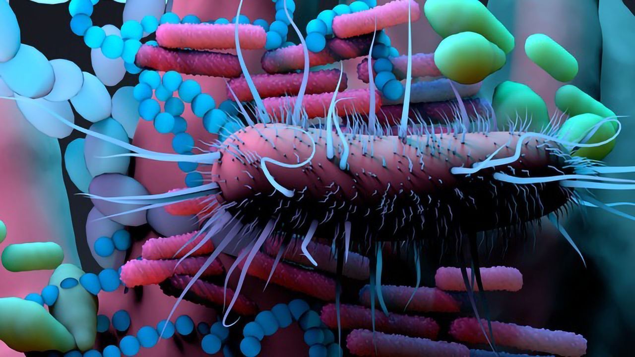 Exploring the Relationship Between the Microbiome, Precision Medicine and Cancer