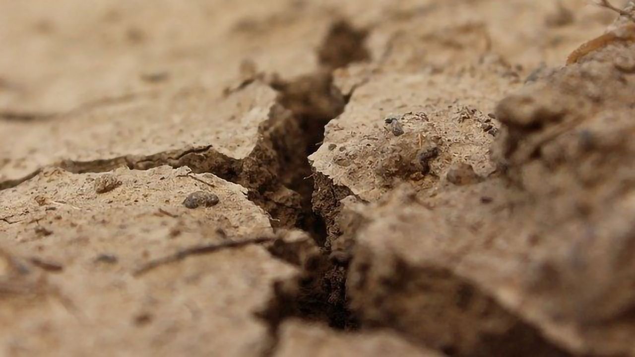 Valuable Chemicals Synthesized From Contaminated Soil