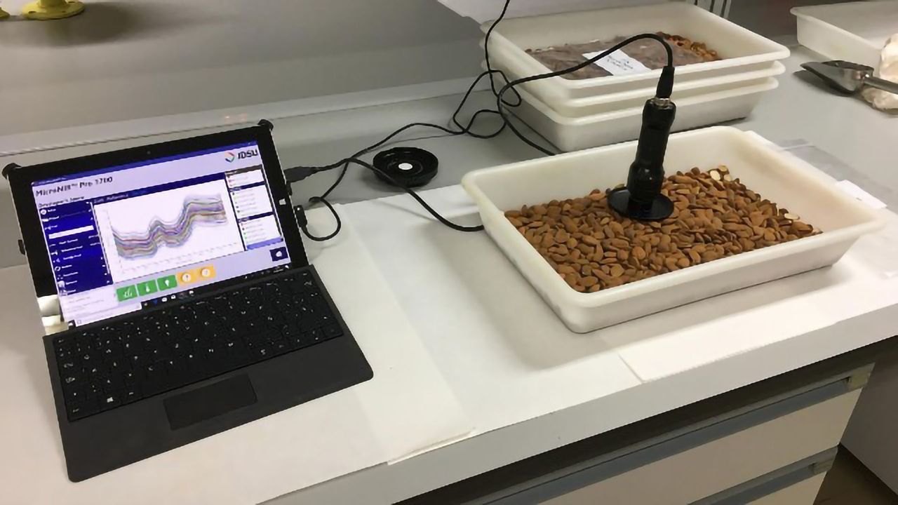 Technology Enables Real-Time Detection of Bitter Almonds
