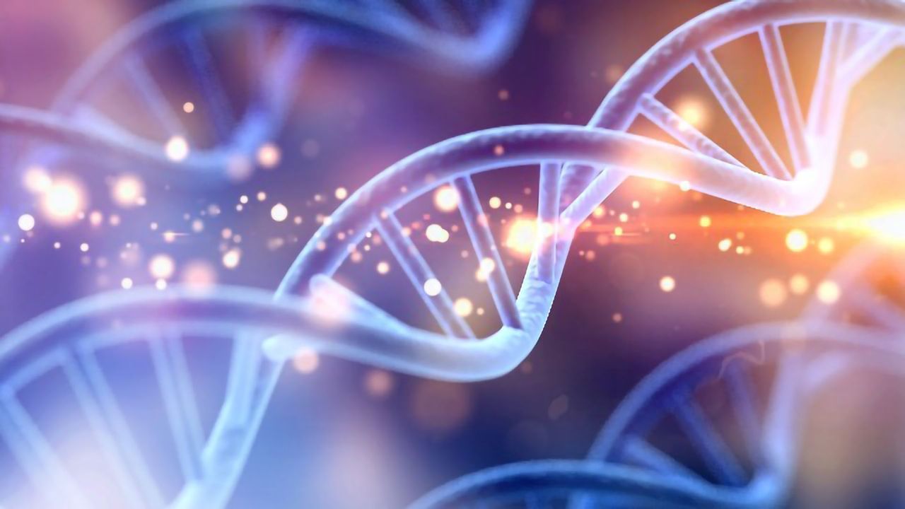 Magnetic Bead-Based DNA Extraction Kit