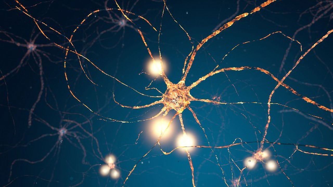 Brain Cell "Batteries" Linked to Autism Spectrum Disorders