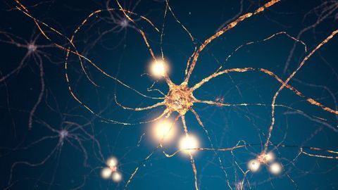 Brain Cell "Batteries" Linked to Autism Spectrum Disorders