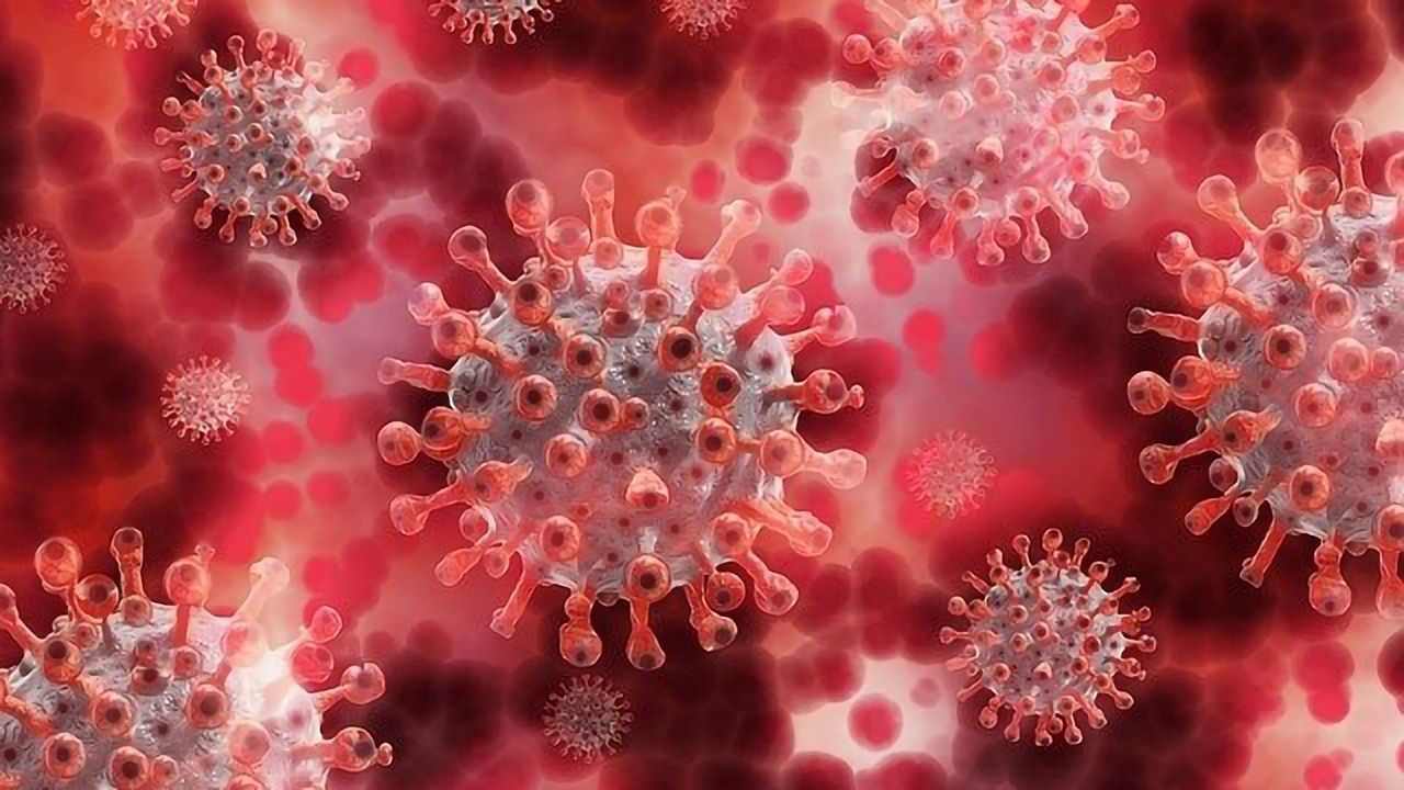 Severe COVID May Be Prevented by an Early Functional SARS-CoV-2 Specific T-Cell Response