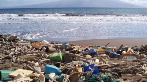 Are Ocean Plastics and Microplastics Increasing?