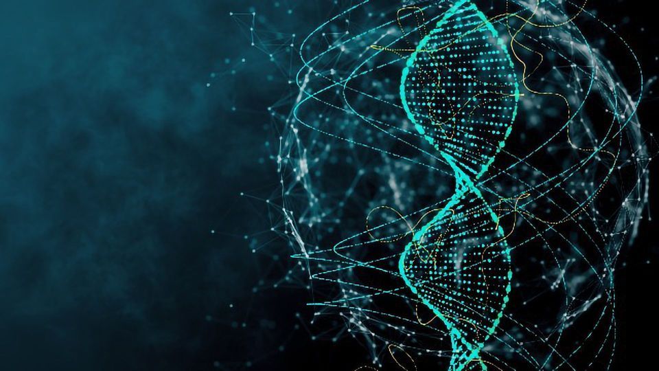 DNA Origami Unfolds Immune System Mechanisms content piece image