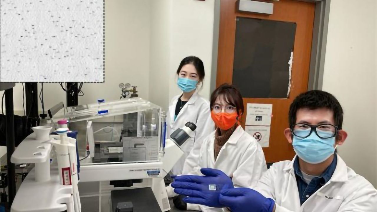 Fast, Cheap, Accessible COVID-19 Antibody Test Developed