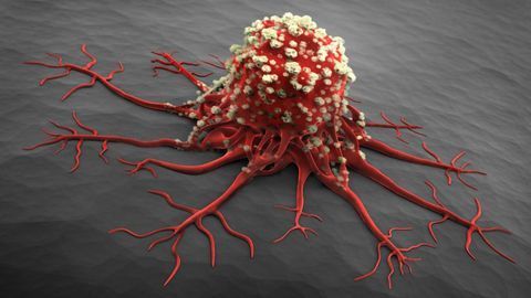 Bioadhesive Nanoparticles Developed To Deliver Chemo Cargo Inside Tumors