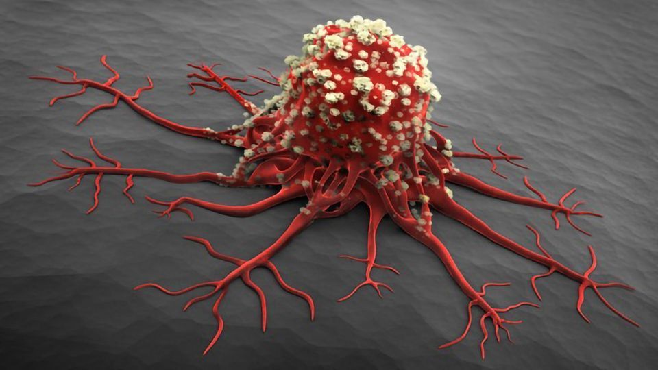 Bioadhesive Nanoparticles Developed To Deliver Chemo Cargo Inside Tumors content piece image